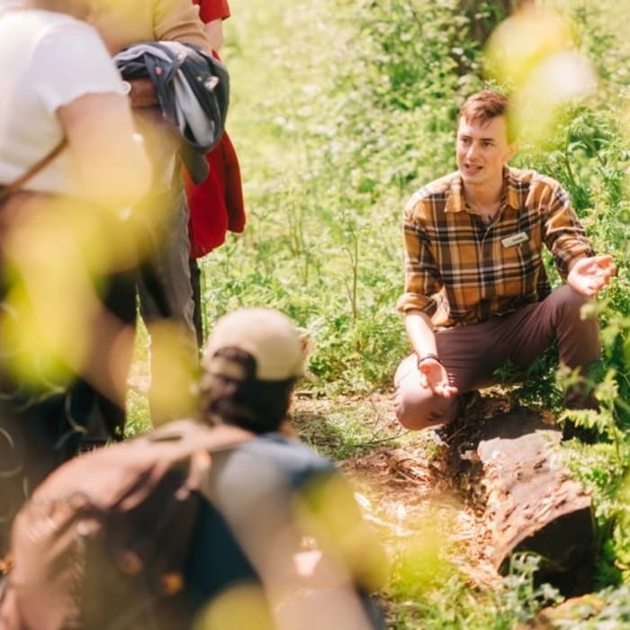 People on a nature walk